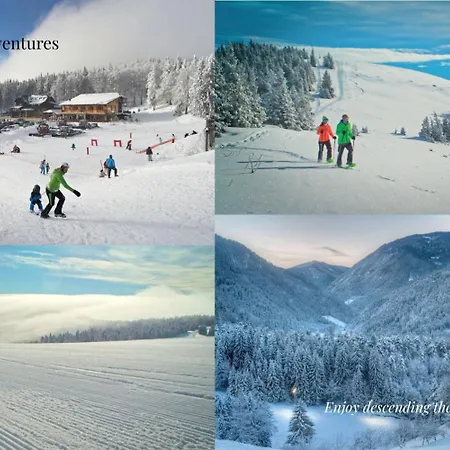 Elizabeth - Mansard For 4 * Slovenj Gradec