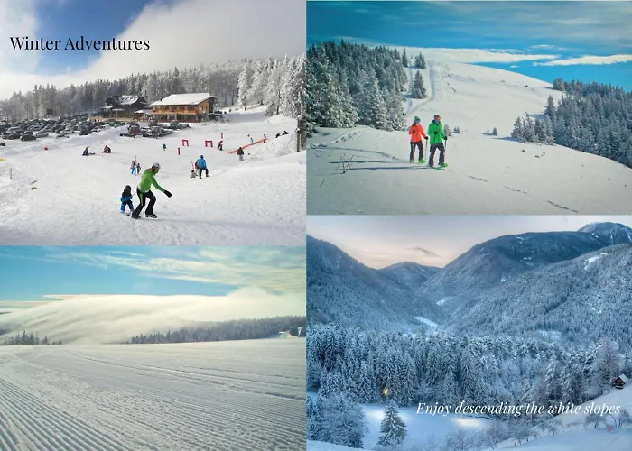 Elizabeth - Mansard For 4 * Slovenj Gradec